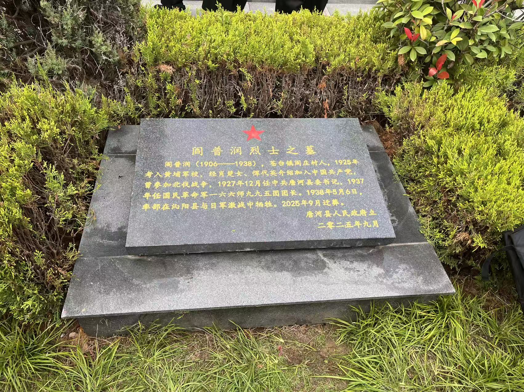阎普润 阎普润